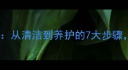 石材护理全流程详解从清洁到养护的7大步骤轻松延长石材寿命