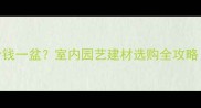 珍珠矮兰多少钱一盆室内园艺建材选购全攻略附价格表