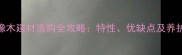 红心橡木建材选购全攻略特性优缺点及养护指南