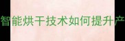 杨木板材加工厂全智能烘干技术如何提升产品品质与市场竞争力