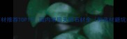 浮雕石材推荐TOP10国内常用天然石材全附选材避坑指南