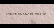 红大理石装修全攻略高端大气显贵这样选才不踩坑