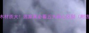 桦木vs原木材质大选家具必看五大核心区别附选购指南