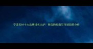 宁波石材十大品牌排名出炉附选购指南与市场趋势分析