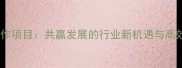 石材开采合作项目共赢发展的行业新机遇与高效合作模式