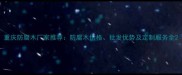 重庆防腐木厂家推荐防腐木价格批发优势及定制服务全