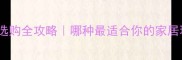 桐木板vs马六甲板选购全攻略哪种最适合你的家居环境附详细对比表