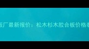 河北工业木板厂最新报价松木杉木胶合板价格表及选购指南