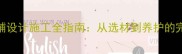 广场石材地铺设计施工全指南从选材到养护的完整解决方案