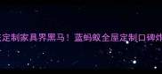 重庆定制家具界黑马蓝蚂蚁全屋定制口碑炸裂