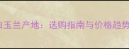 大理石白玉兰产地选购指南与价格趋势全攻略