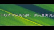 山东省菏泽市建材市场木材采购指南源头直供供应商价格及行业全