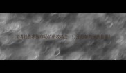 淄博胶合木板市场价格波动全行业趋势与采购指南