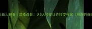 鱼肚白大理石装修必看这5大特征让你秒变行家附选购指南