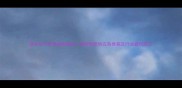 原木杉木批发采购指南全国优质供应商推荐及行业避坑贴士