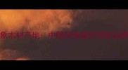 白象木材产地中国环保建材领军品牌全