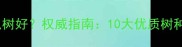 防腐木用什么树好权威指南10大优质树种及选购技巧