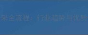 矿山石材开采全流程行业趋势与优质供应商推荐
