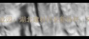 麻城白果石材产业园湖北建材行业新标杆采购选材全攻略