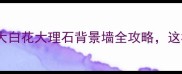 家居装修爆款大白花大理石背景墙全攻略这样装显贵又高级