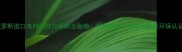 俄罗斯进口木材选材与采购全指南规格参数价格优势及环保认证
