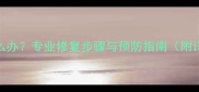 木地板拱起怎么办专业修复步骤与预防指南附详细施工方案