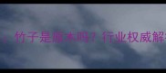 竹材与原木的建材特性竹子是原木吗行业权威解答竹材特性与原木区别