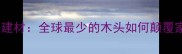 零甲醛环保建材全球最少的木头如何颠覆家居行业