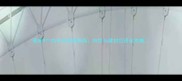 密度071的木材选购指南特性与建材应用全攻略