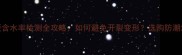 上海家庭地板含水率检测全攻略如何避免开裂变形选购防潮地板必看指南