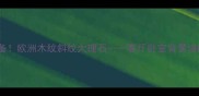 家居装修必备欧洲木纹斜纹大理石客厅卧室背景墙的绝美选择