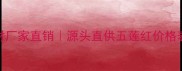 内蒙古五莲红石材厂家直销源头直供五莲红价格表最新批发指南
