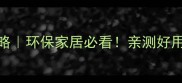 广西小叶桉木材全攻略环保家居必看亲测好用到哭的高性价比建材
