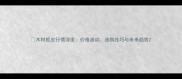 木材板皮行情深度价格波动选购技巧与未来趋势