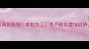 大连木托盘厂家高薪急招木材加工厂生产岗位虚位以待技能人才速来