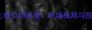 中国石材行业上市公司深度市场格局与投资价值全指南