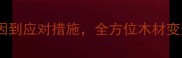 木材时变效应从成因到应对措施全方位木材变形与稳定性控制技术