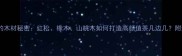 树墩家具的木材秘密红松橡木山桃木如何打造高颜值茶几边几附选购指南