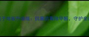 千年舟负离子地板升级版抗菌防霉除甲醛守护全家呼吸健康
