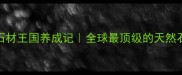 意大利石材王国养成记全球最顶级的天然石材诞生密码