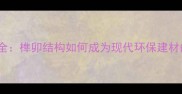 木工拼插工艺全榫卯结构如何成为现代环保建材的热门选择