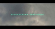 哈尔滨松木原木批发市场最新报价与采购指南