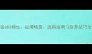 花岗岩603特性应用场景选购指南与保养技巧全攻略