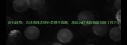 流行趋势沙漠玫瑰大理石装修全攻略高端石材选购指南与施工技巧
