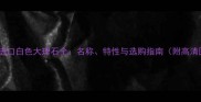 意大利进口白色大理石全名称特性与选购指南附高清图库