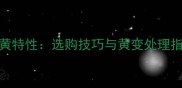 意大利灰大理石偏黄特性选购技巧与黄变处理指南附应用场景