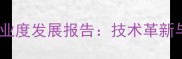 中国石材机械行业度发展报告技术革新与智能化转型全