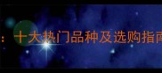 河北大理石种类全十大热门品种及选购指南附厂家推荐