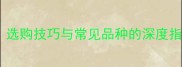 白色花岗岩种类全选购技巧与常见品种的深度指南附价格对比