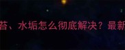 石材水池发黄青苔水垢怎么彻底解决最新石材养护全攻略